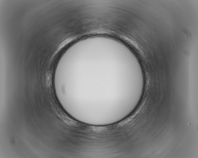 X0000111361258200907100948