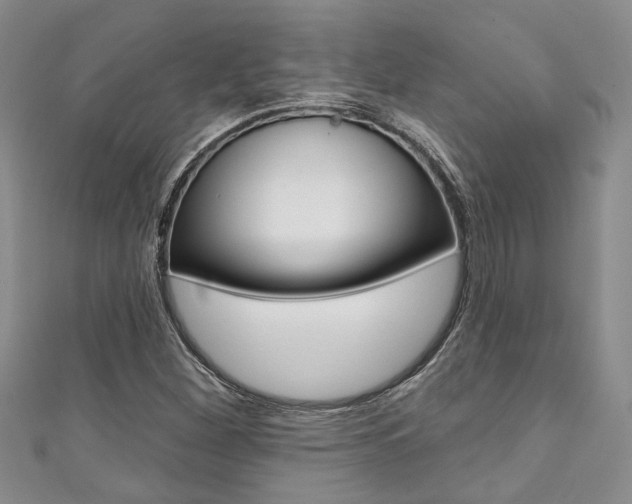 X0000111361260200907100948