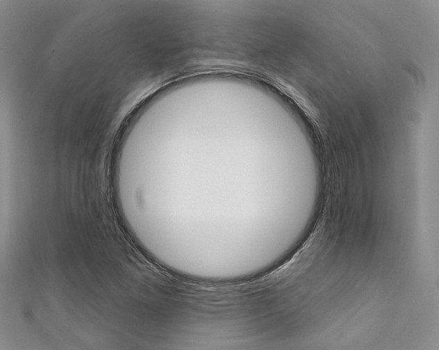 X0000111361261200907100948
