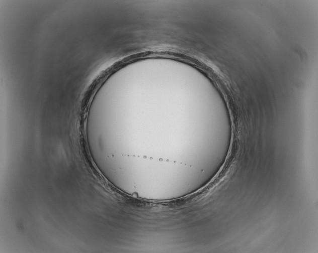 X0000111361263200907100948