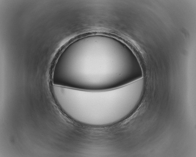 X0000111361264200907100948