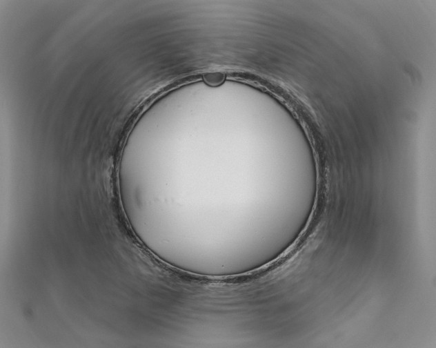 X0000111361265200907100948