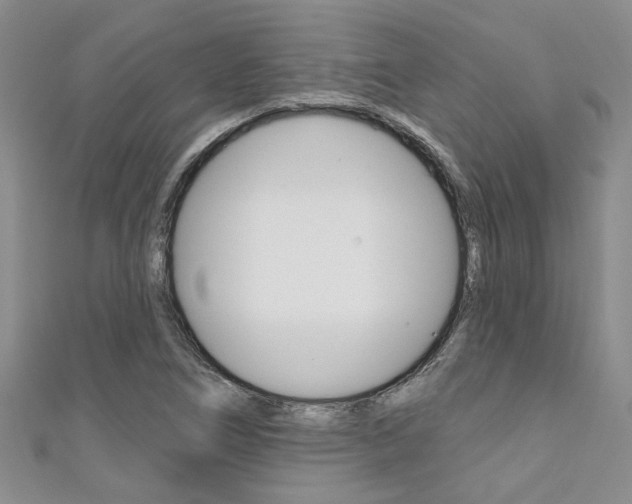 X0000111361266200907100948