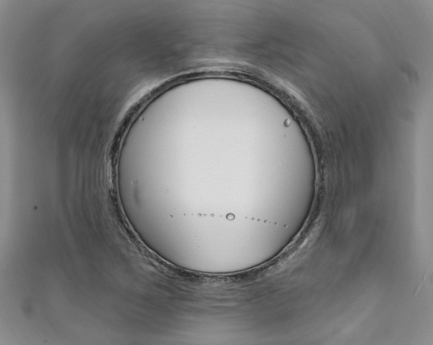 X0000111361267200907100948