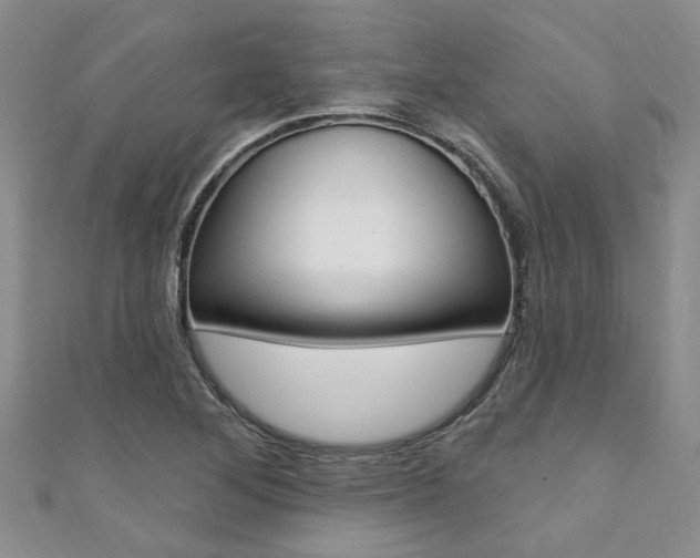 X0000111361268200907100948
