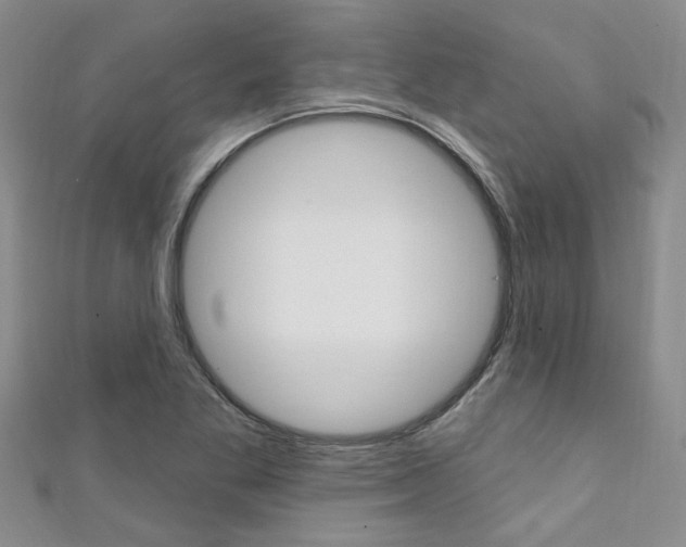 X0000111361269200907100948