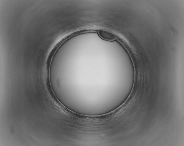 X0000111361270200907100948