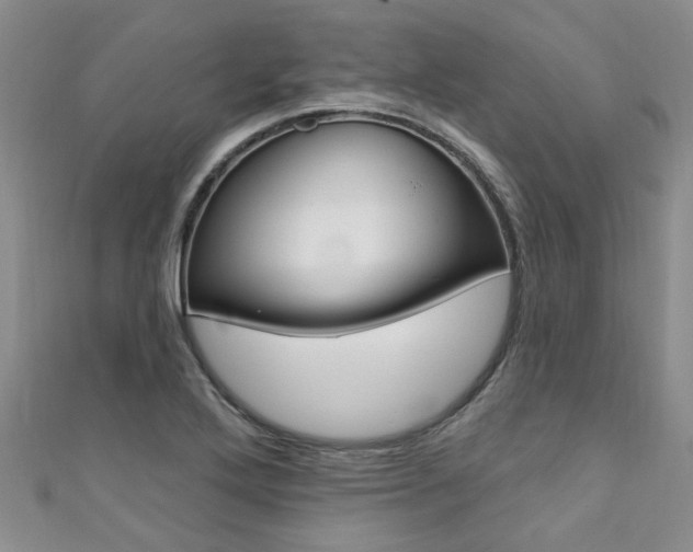 X0000111361272200907100948