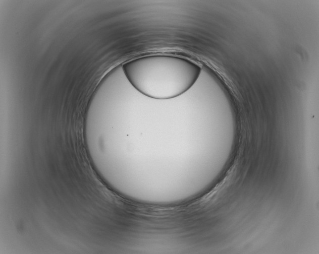 X0000111361273200907100948