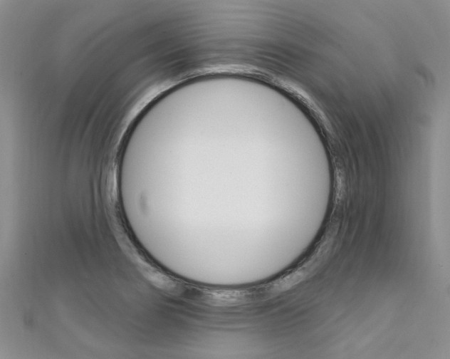 X0000111361274200907100948