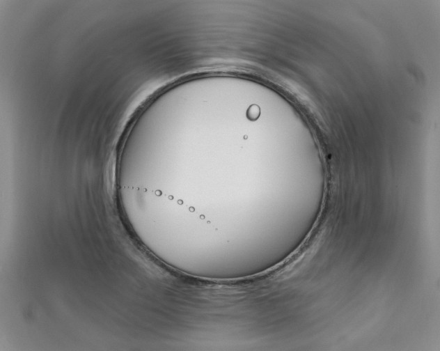 X0000111361275200907100948