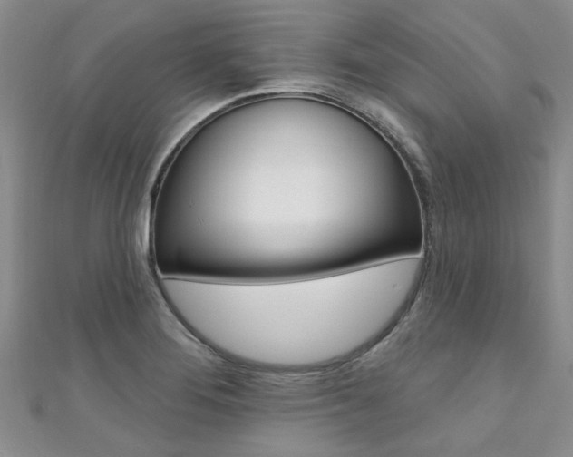 X0000111361276200907100948