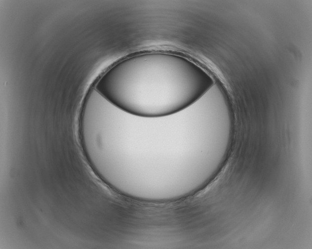 X0000111361277200907100948