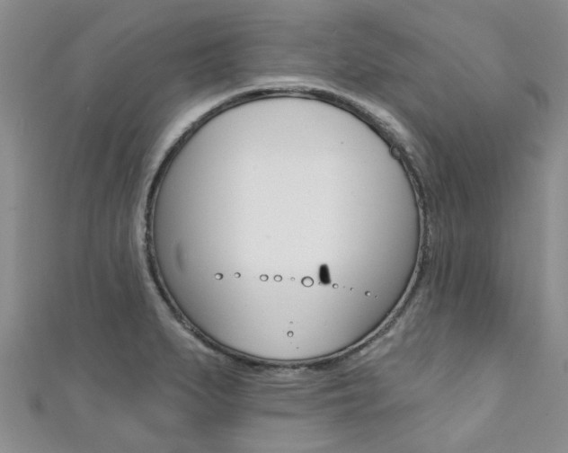 X0000111361279200907100948