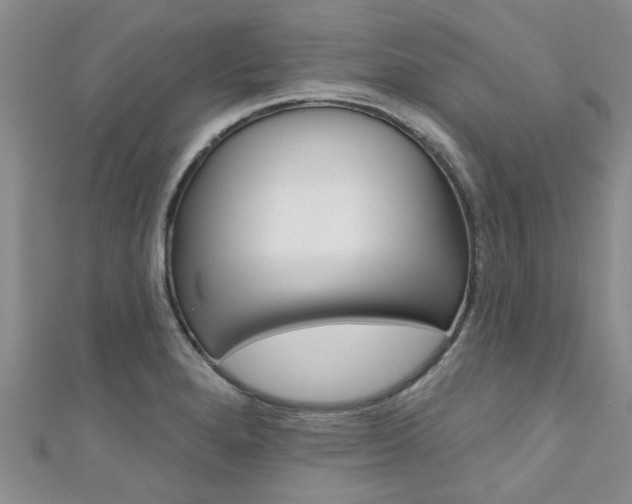 X0000111361280200907100948
