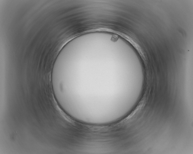 X0000111361281200907100948
