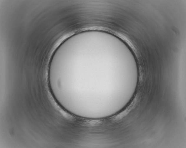 X0000111361282200907100948