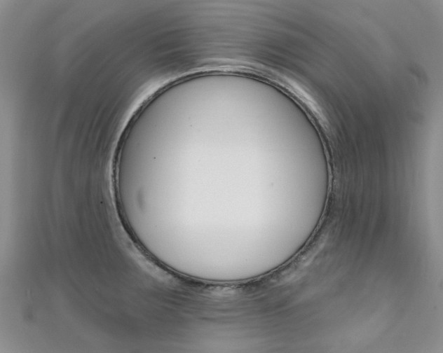 X0000111361283200907100948