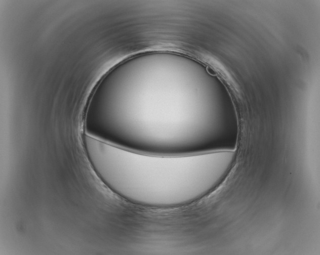 X0000111361284200907100948