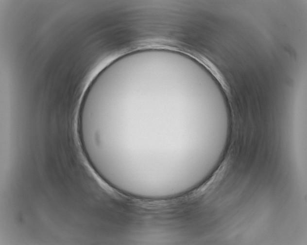 X0000111361285200907100948