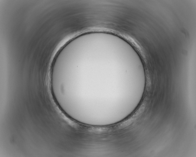 X0000111361286200907100948