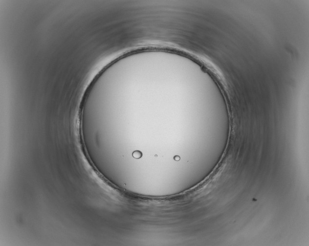 X0000111361287200907100948