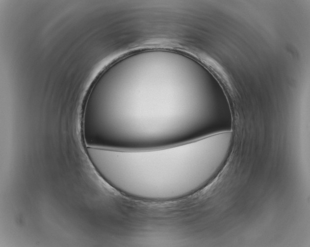 X0000111361288200907100948