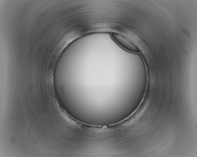 X0000111361289200907100948