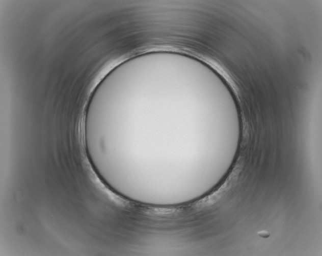 X0000111361290200907100948