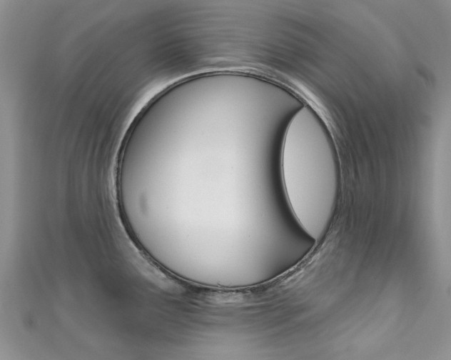 X0000111361291200907100948