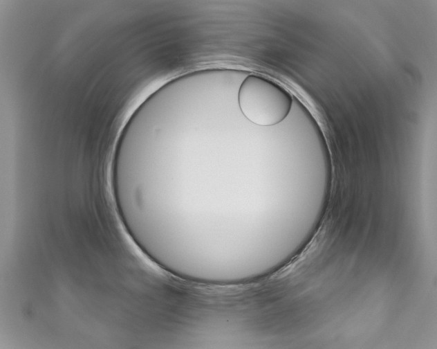 X0000111361293200907100948