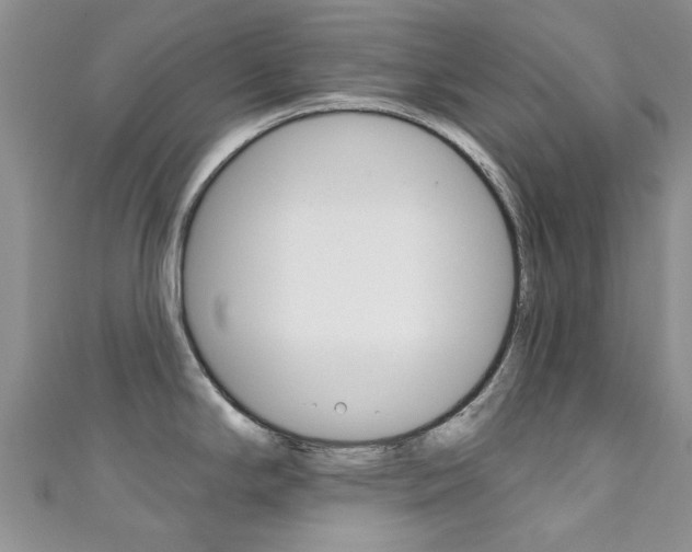 X0000111361294200907100948