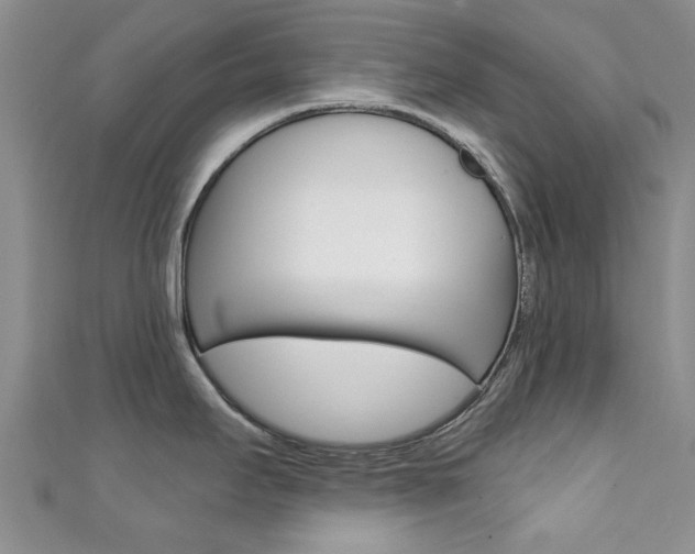 X0000111361295200907100948