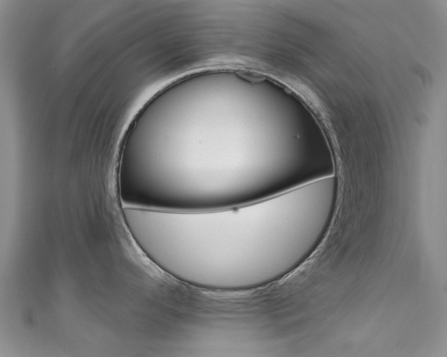 X0000111361296200907100948