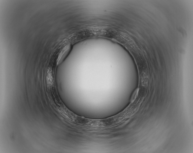 X0000111361298200907100947