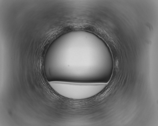 X0000111361300200907100947