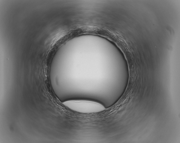X0000111361301200907100947