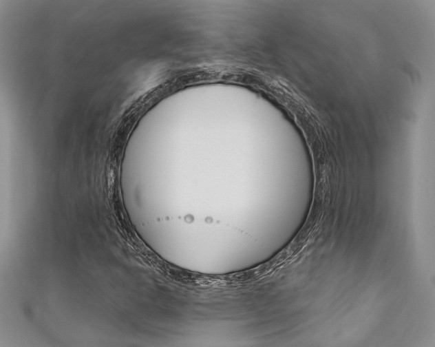 X0000111361302200907100947