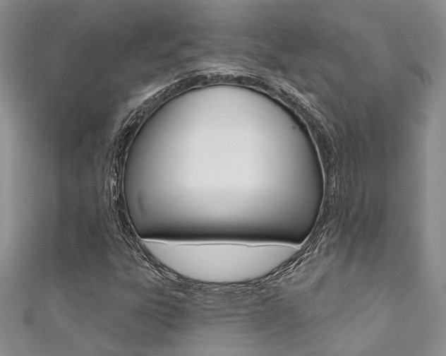 X0000111361303200907100947