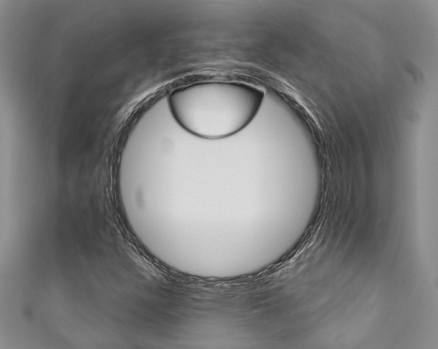 X0000111361304200907100947