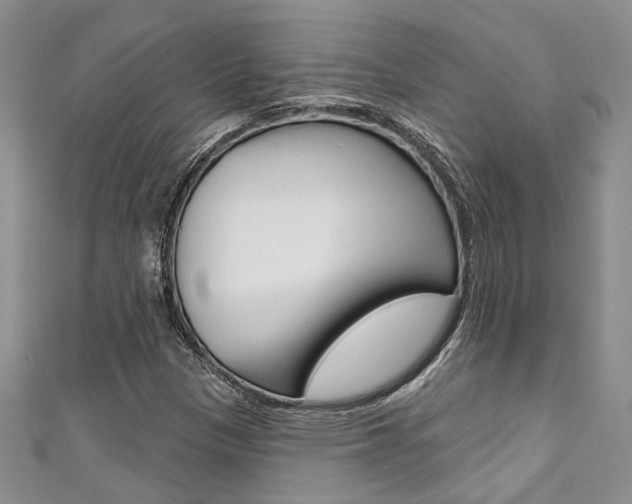 X0000111361305200907100947