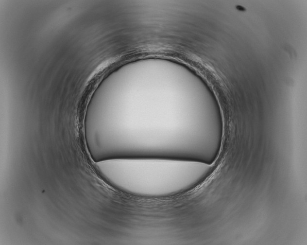 X0000111361306200907100947