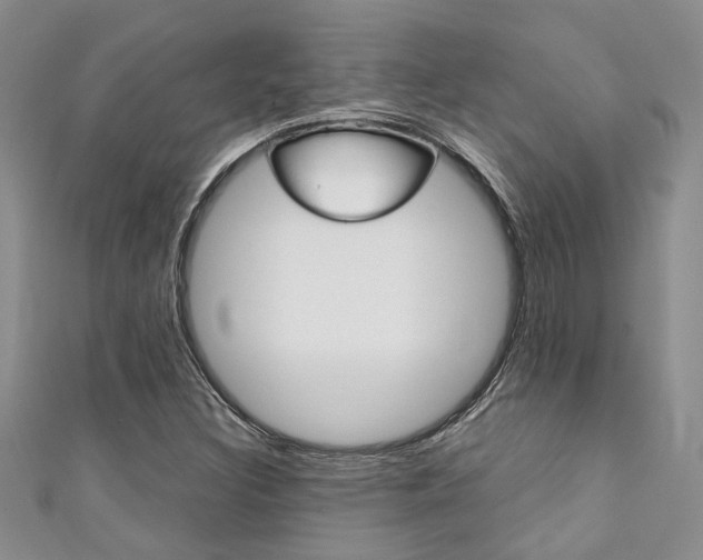 X0000111361308200907100947