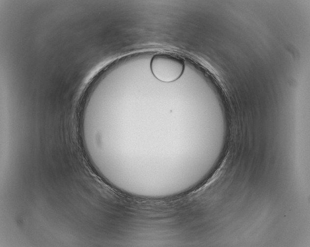 X0000111361310200907100947