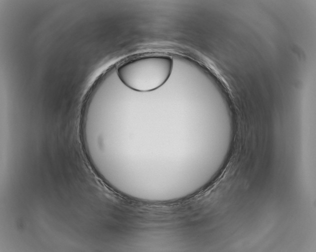 X0000111361312200907100947