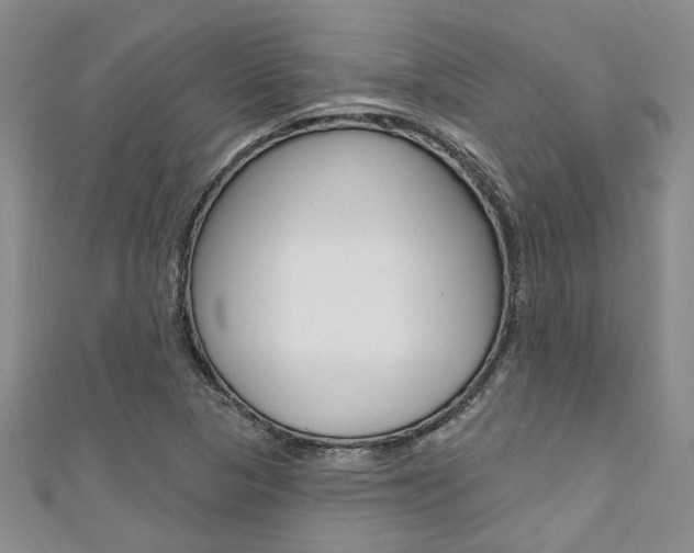 X0000111361313200907100947