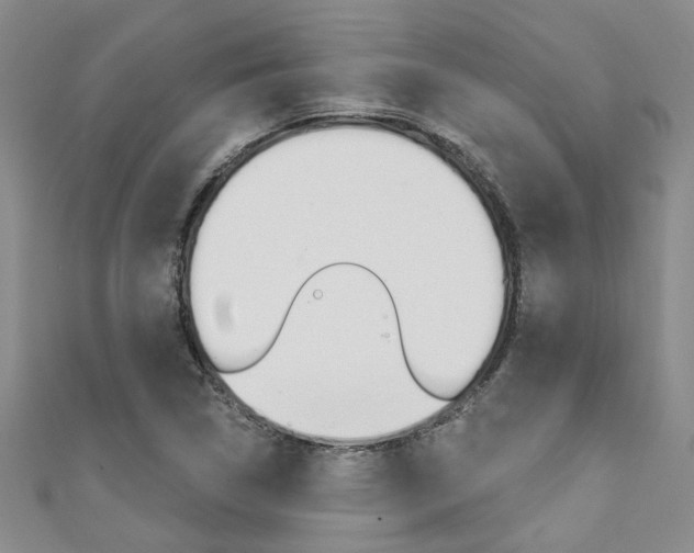 X0000111361314200907100947