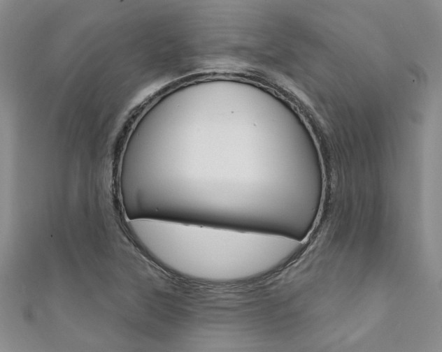 X0000111361315200907100947