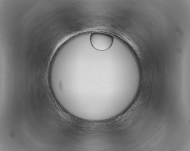 X0000111361316200907100947