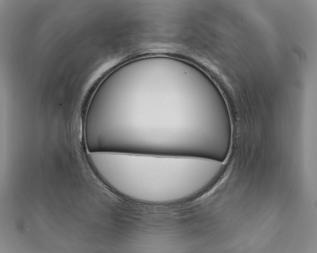 X0000111361317200907100947